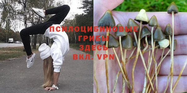 прущий лед Наволоки