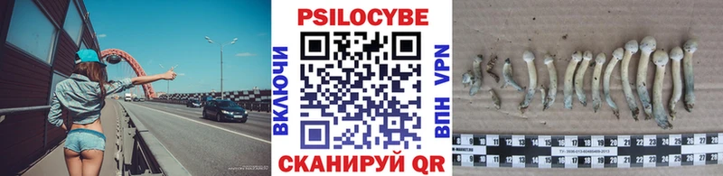 Купить где  Нюрба  Галлюциногенные грибы ЛСД 